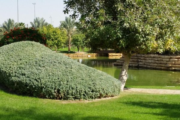 Copy of Copy of Final profile 02-08_page_44_image_3